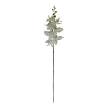 Load image into Gallery viewer, Single Orchid Spray, White Flowers, 85cm
