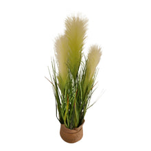 Load image into Gallery viewer, Faux Pampas Grass Display, 65cm
