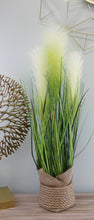 Load image into Gallery viewer, Faux Pampas Grass Display, 65cm
