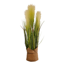 Load image into Gallery viewer, Faux Pampas Grass Display, 65cm
