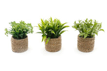 Load image into Gallery viewer, A Set Of Three Rope Effect Pots And Artificial Succulents
