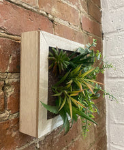 Load image into Gallery viewer, Artificial Succulents In Square Wooden Frame
