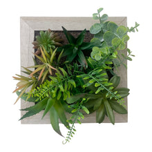 Load image into Gallery viewer, Artificial Succulents In Square Wooden Frame
