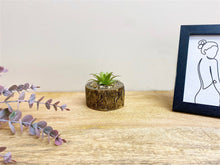 Load image into Gallery viewer, Bark Effect Pot and Succulent
