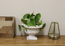 Load image into Gallery viewer, Classic Low Urn Planter
