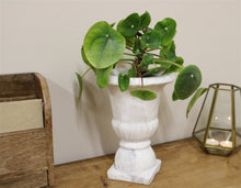 Load image into Gallery viewer, Classic Urn Planter
