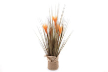 Load image into Gallery viewer, Faux Grasses Wrapped In Hesian Collar &amp; Rope Base
