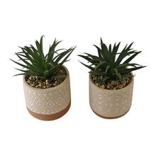 Load image into Gallery viewer, Set of 2 Faux Succulents In Ceramic Pots
