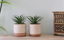 Load image into Gallery viewer, Set of 2 Faux Succulents In Ceramic Pots
