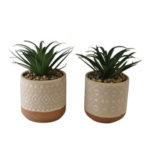 Load image into Gallery viewer, Set of 2 Faux Succulents In Ceramic Pots
