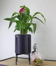 Load image into Gallery viewer, Black Planter Metal Stand 28cm
