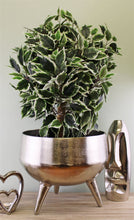 Load image into Gallery viewer, Silver Metal Planter/Bowl With Feet, 35cm
