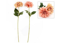 Load image into Gallery viewer, Dahlia Flower Stems
