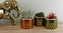 Load image into Gallery viewer, Set of 3 Succulents In Ceramic Pots With A Cubic Design
