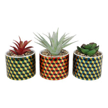 Load image into Gallery viewer, Set of 3 Succulents In Ceramic Pots With A Cubic Design
