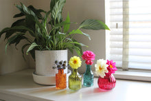 Load image into Gallery viewer, Set of Four Boho Posy Vase Bottles
