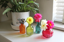 Load image into Gallery viewer, Set of Four Boho Posy Vase Bottles
