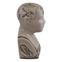 Load image into Gallery viewer, Small Ceramic Crackle Phrenology Head
