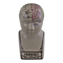 Load image into Gallery viewer, Small Ceramic Crackle Phrenology Head
