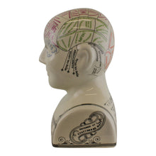 Load image into Gallery viewer, Large Ceramic Crackle Phrenology Head
