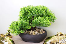 Load image into Gallery viewer, Eastern Faux Bonsai Tree in Boxwood Style
