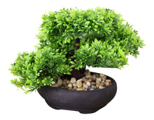 Load image into Gallery viewer, Eastern Faux Bonsai Tree in Boxwood Style
