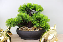 Load image into Gallery viewer, Eastern Faux Bonsai Tree in Fir Tree style
