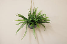 Load image into Gallery viewer, Hanging Fern In Pot
