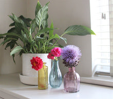 Load image into Gallery viewer, Set of Three Colour Glass Vases
