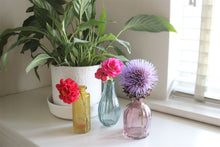 Load image into Gallery viewer, Set of Three Colour Glass Vases
