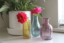 Load image into Gallery viewer, Set of Three Colour Glass Vases
