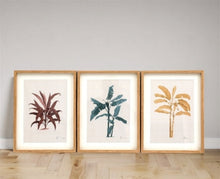 Load image into Gallery viewer, Tropical Palm Wall Art in Frames
