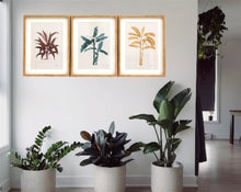 Load image into Gallery viewer, Tropical Palm Wall Art in Frames
