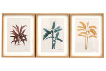 Load image into Gallery viewer, Tropical Palm Wall Art in Frames
