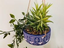 Load image into Gallery viewer, Blue Ceramic Hanging Pot with Plants
