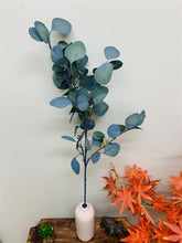 Load image into Gallery viewer, Blue Eucalyptus Stem 90cm
